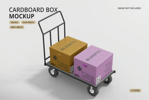 Box Mockup