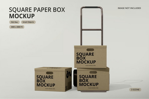Box Mockup