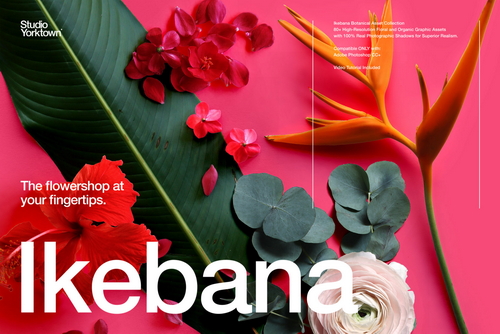 Ikebana Floral and Botanical Asset Collection