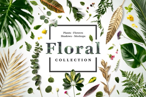 Floral Mockups Collection