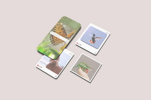 Social Media Mockup
