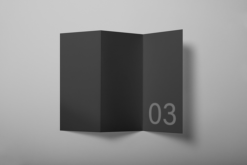 Tri-Fold Flyer Mockup Scene 03