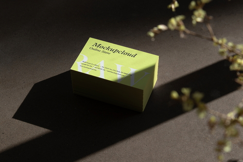 Business Cards Branding Mockup Scene Raw-03-16