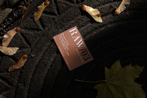 Business Card Branding Mockup Scene Raw-03-35