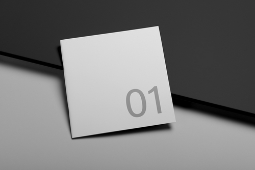 Square Brochure Mockup Scene 01