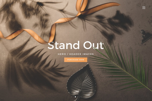 Floral Shadows Header Mockup Scene