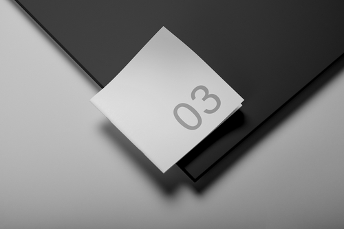Square Brochure Mockup Scene 03