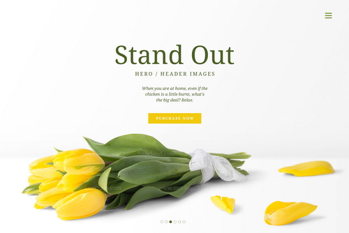 Flowers Header Front View Mockup Scene