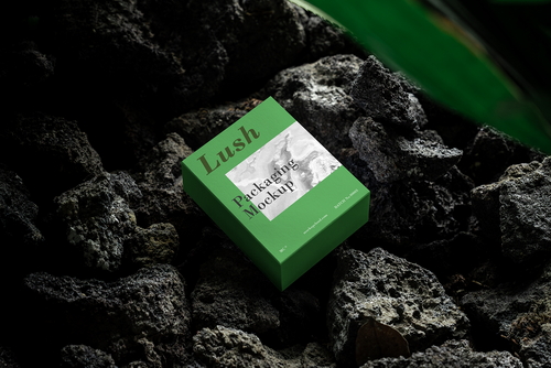 Box Packaging Mockup Scene / Lush Series 01