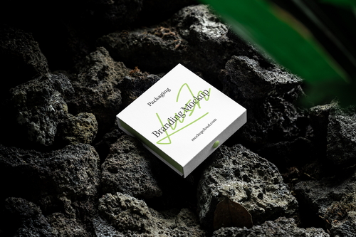 Box Packaging Mockup Scene / Lush Series 05
