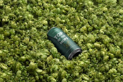 Craft Beer Can Hops Background Mockup Scene 41