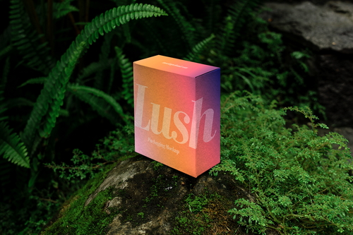 Box Packaging Mockup Scene / Lush Series 02