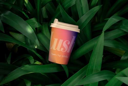 Paper Cup Mockup Scene / Lush Series 01