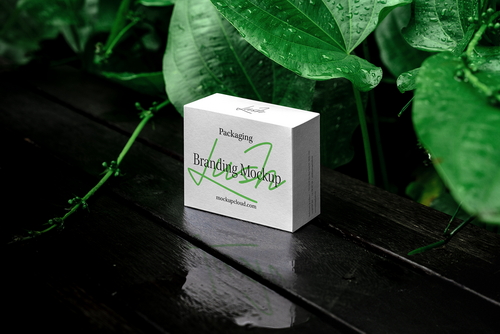 Box Packaging Mockup Scene / Lush Series 03