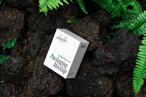 Box Packaging Mockup Scene / Lush Series 04