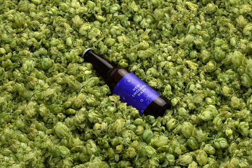 Craft Beer Bottle Hops Background Mockup Scene 43