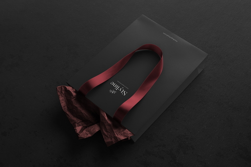 Paper Shopping Bag Mockup Scene 29