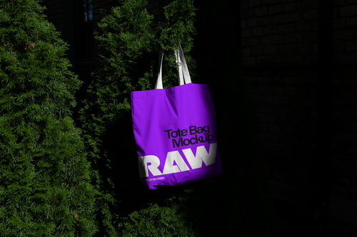 Tote Bag Mockup Scene Raw-06
