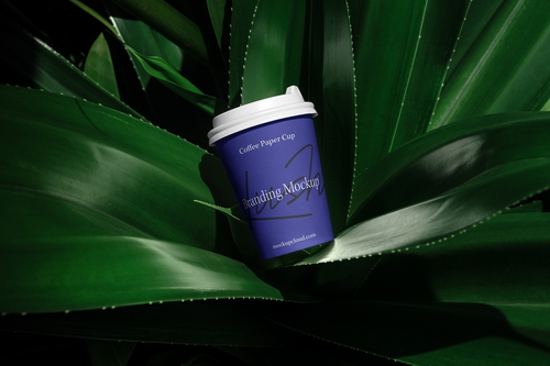 Paper Cup Mockup Scene / Lush Series 03