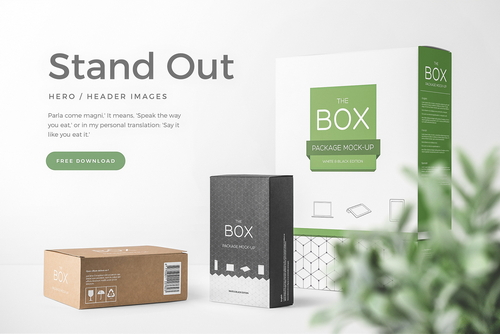 Box Packaging Mockup Front View Scene 01