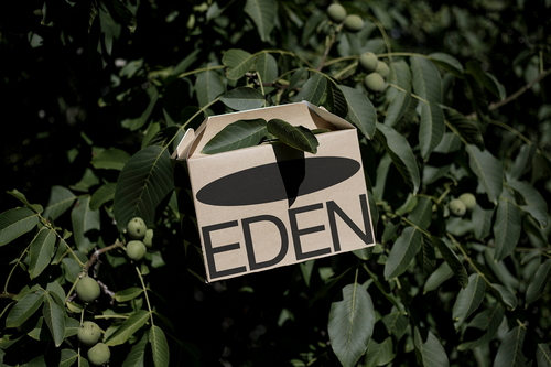 Format Eden Large Eco Box Mockup Scene 01