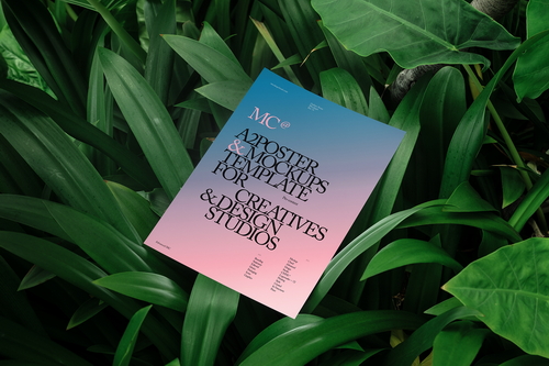 Poster Mockup Scene / Lush Series 06