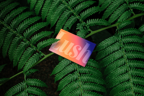 Business Cards Mockup Scene / Lush Series 10