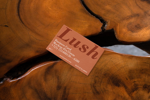 Business Card Mockup Scene / Lush Series 03