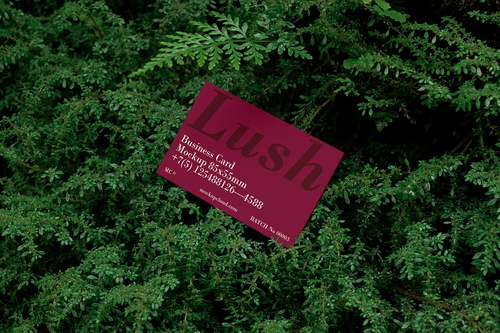Business Card Mockup Scene / Lush Series 05