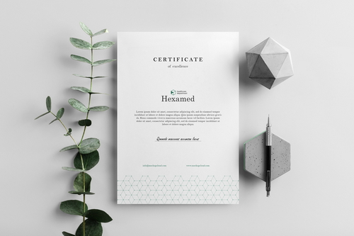 Hexamed Letterhead A4 Mockup Scene 08