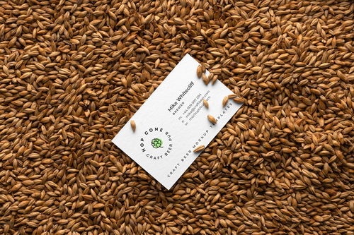 Business Card Malt Background Branding Mockup Scene 38