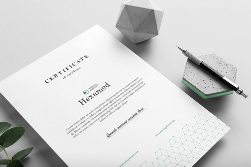 Hexamed Letterhead A4 Mockup Scene 09