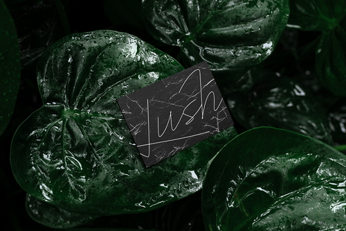 Business Card Mockup Scene / Lush Series 06