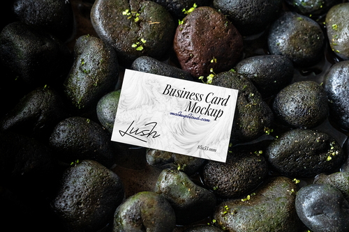 Business Card Mockup Scene / Lush Series 02