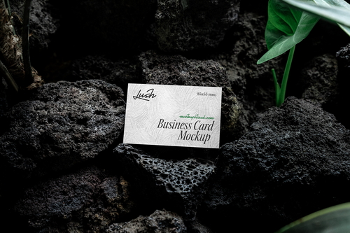 Business Card Mockup Scene / Lush Series 01