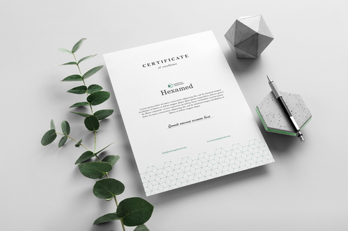 Hexamed Letterhead A4 Mockup Scene 07