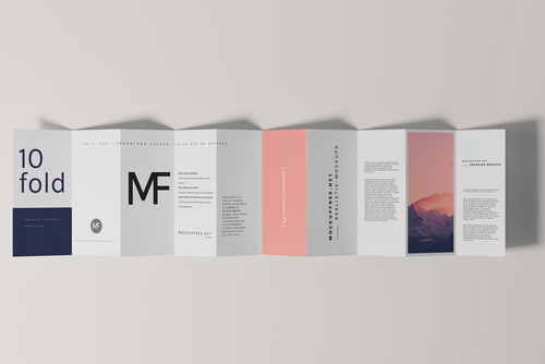 DL Ten-Fold Brochure or Flyer Mockups