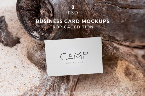 Business Card Mockup Tropical