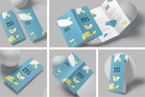 2 Fold DL Size Brochure Mockups