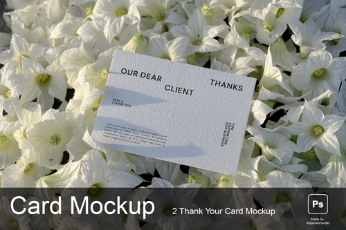 Thank You card Mockups