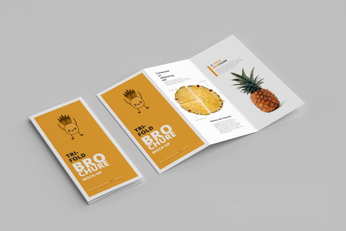 DL Tri-Fold Brochure Mockups