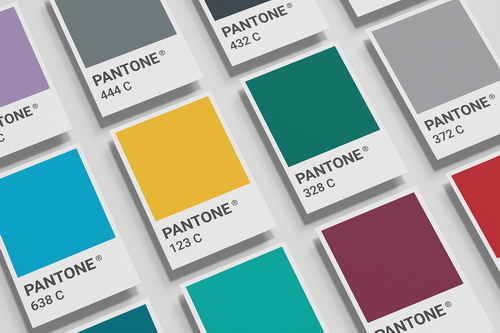 Pantone Card Mock-up