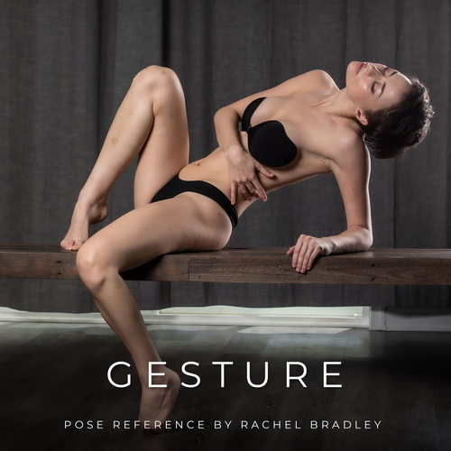 Pose & Reference Pack 800+