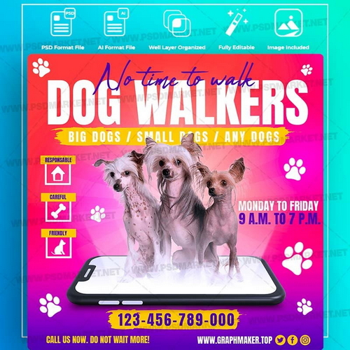 PSDMarket All Premium Flyer Collections