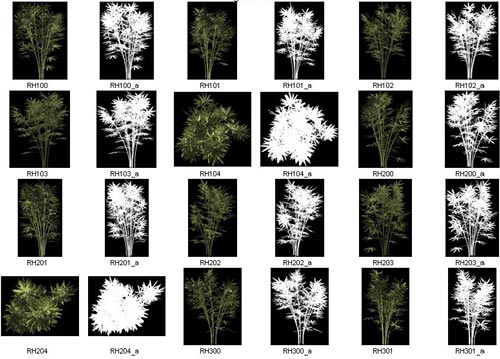 Dosch Images: Plants 640xTGA