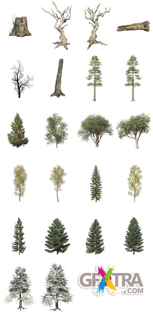 Trees, Bushes, Stumps 46xPNG