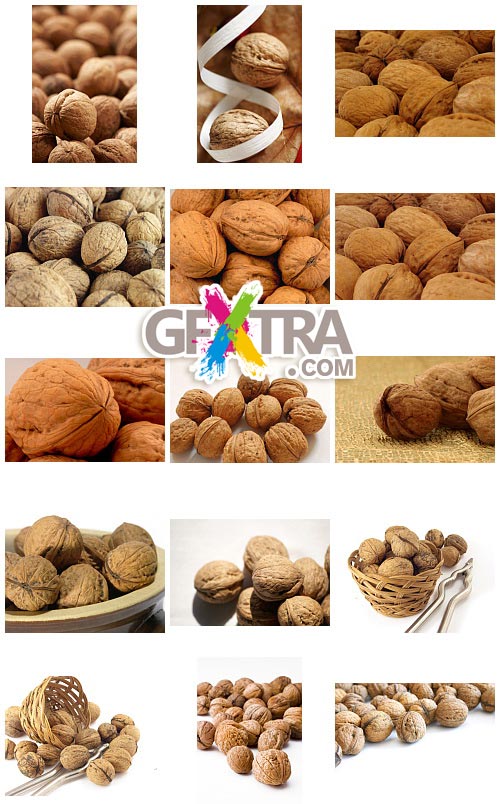 Nuts 15xJPGs