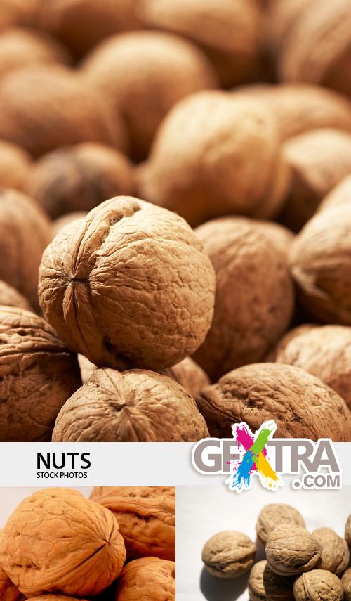 Nuts 15xJPGs