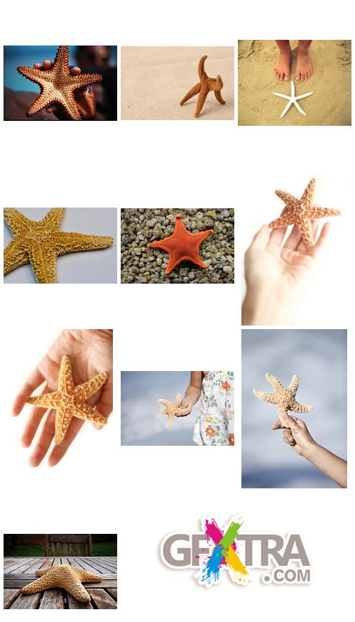 Starfish 25xJPGs