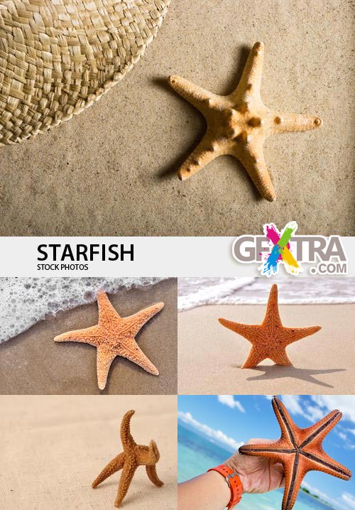 Starfish 25xJPGs